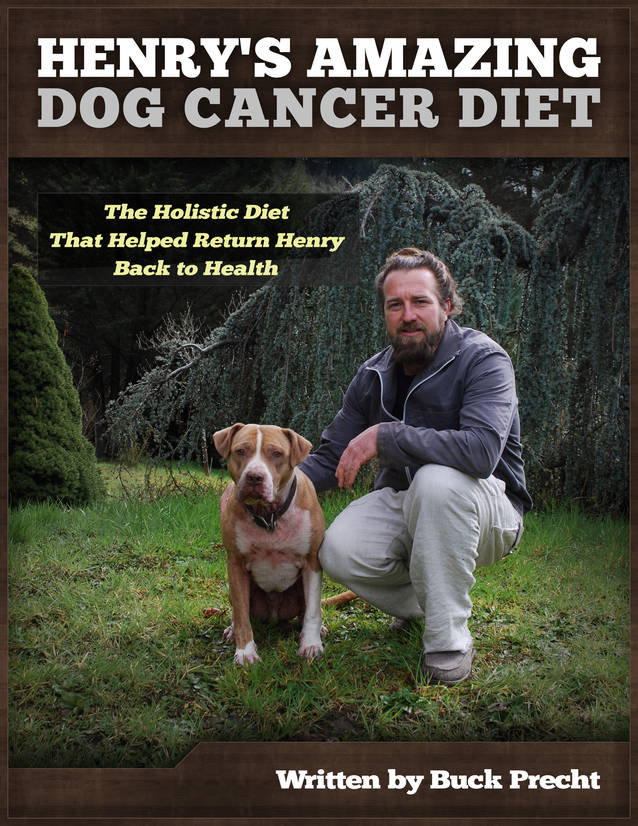 the canine cancer diet