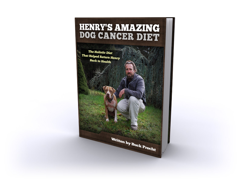 Dog Cancer Diet eBook